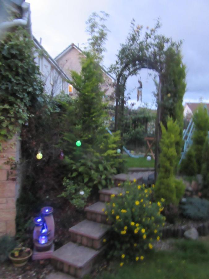 Homely Haven, ดันเฟิร์มลิน ภายนอก รูปภาพ